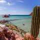 Baja California cactus plage